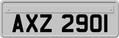 AXZ2901