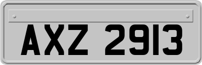 AXZ2913