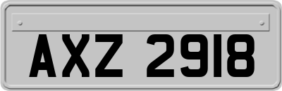 AXZ2918