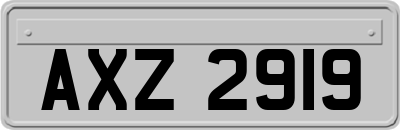 AXZ2919
