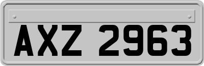 AXZ2963