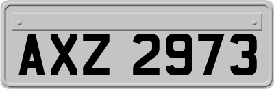 AXZ2973