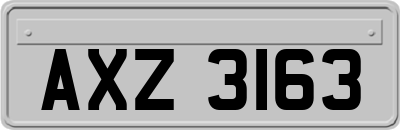 AXZ3163