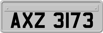 AXZ3173