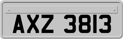 AXZ3813