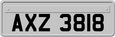 AXZ3818