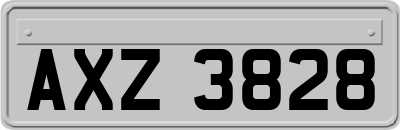 AXZ3828