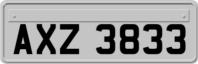 AXZ3833