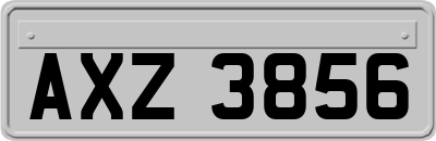 AXZ3856