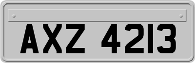 AXZ4213