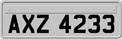 AXZ4233