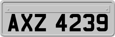 AXZ4239