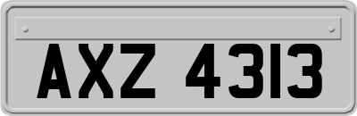 AXZ4313