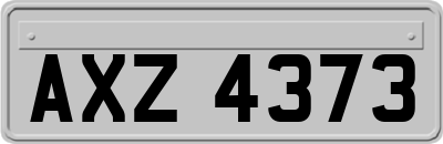 AXZ4373