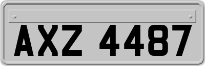 AXZ4487