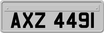 AXZ4491