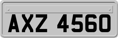 AXZ4560