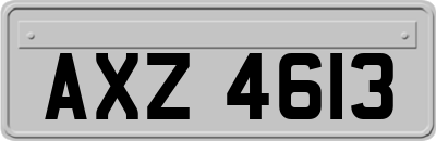 AXZ4613