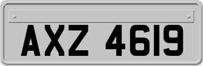 AXZ4619