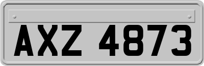 AXZ4873