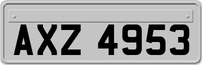 AXZ4953