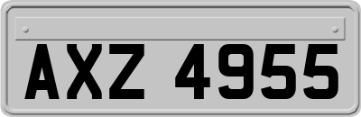 AXZ4955