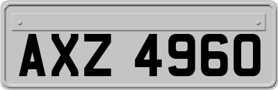 AXZ4960