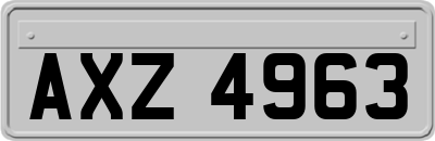 AXZ4963