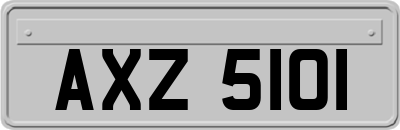 AXZ5101