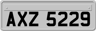 AXZ5229