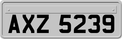 AXZ5239