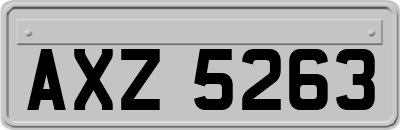 AXZ5263