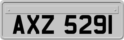AXZ5291