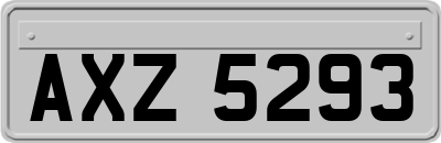 AXZ5293