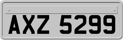 AXZ5299