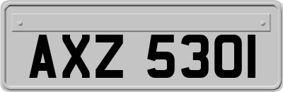 AXZ5301