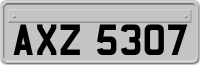 AXZ5307