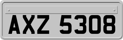 AXZ5308