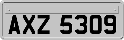 AXZ5309