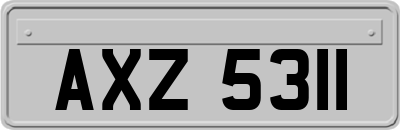 AXZ5311