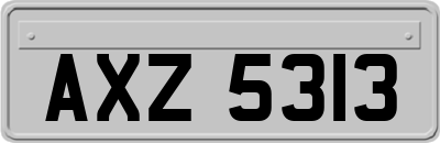 AXZ5313