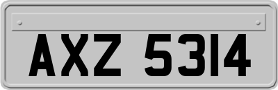 AXZ5314