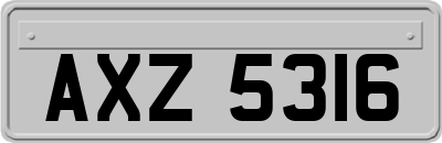 AXZ5316