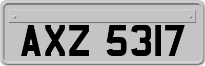 AXZ5317