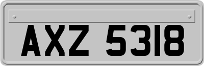 AXZ5318