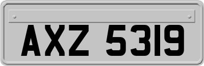 AXZ5319
