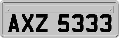 AXZ5333