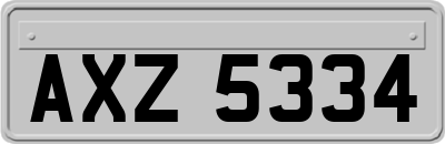 AXZ5334