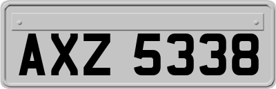 AXZ5338