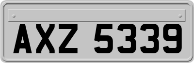AXZ5339
